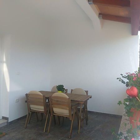 Apartment Ivana Novigrad  Bagian luar foto
