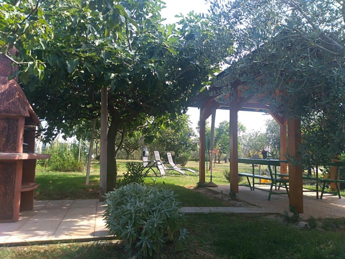 Apartment Ivana Novigrad  Bagian luar foto