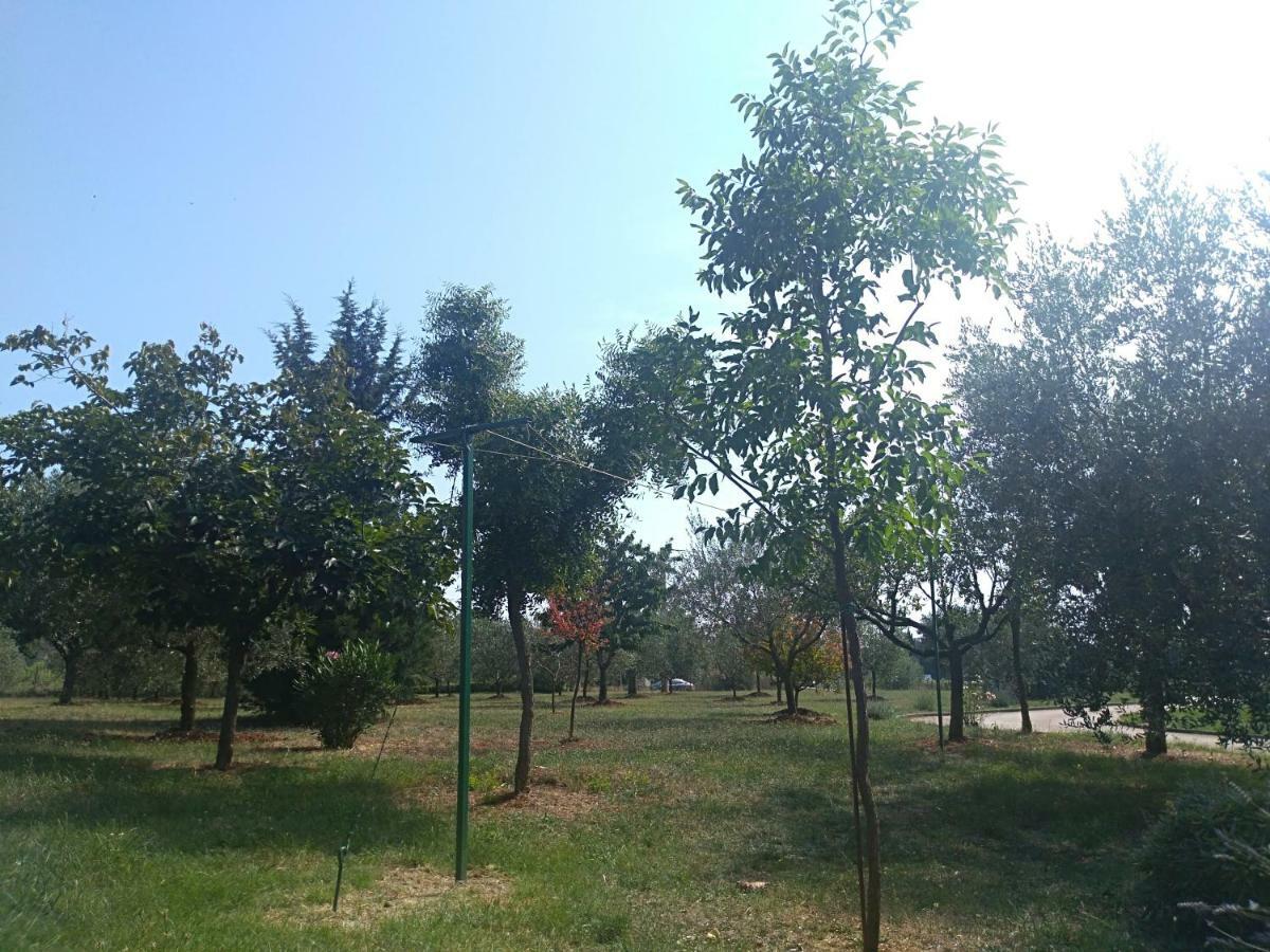 Apartment Ivana Novigrad  Bagian luar foto